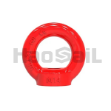 Picture of G80 Eye Nut