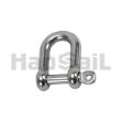 Picture of D Shackle with Locking Pin