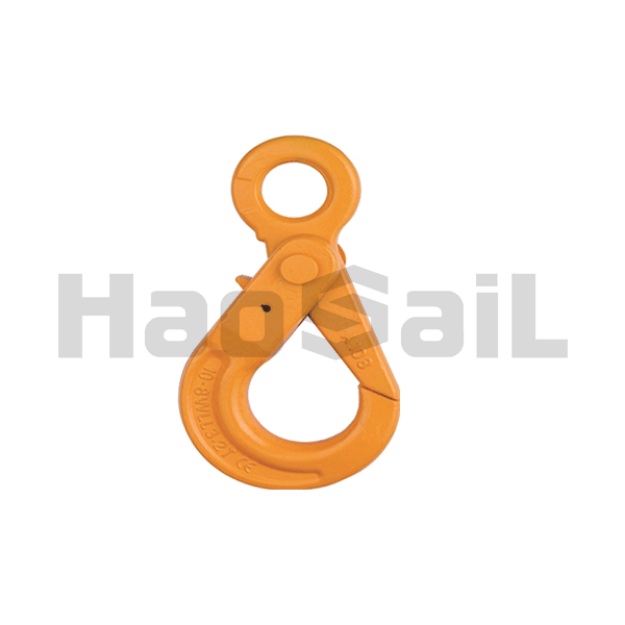 Picture of G80 Eye Self-Locking Hook